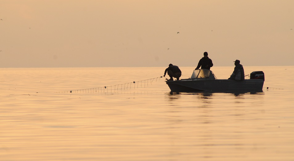 В Атырау развернулась борьба за будущий лов рыбы