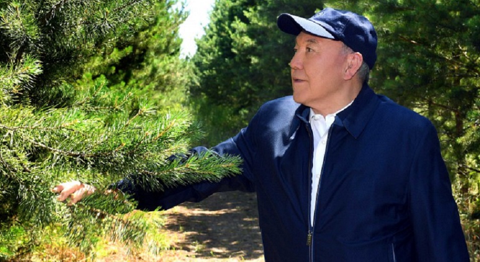 Нурсултан Назарбаев: "Мы строим лес для будущих поколений" 
