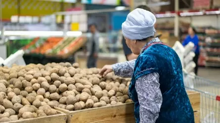 В Казахстане увеличена площадь раннего картофеля 
