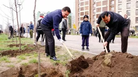 Акция "Таза Казахстан": в Астане высадили аллею деревьев