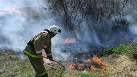 Начало пожароопасного периода в ВКО отмечено многочисленными возгораниями травы и мусора 