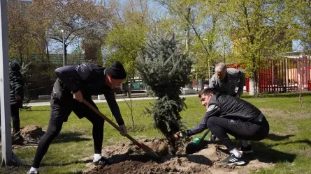 В области Абай футболисты приняли участие в посадке деревьев в рамках акции «Таза Казақстан»