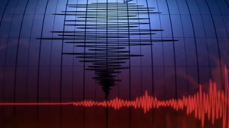 Казахстанцев просят пройти опрос по правилам поведения при землетрясении