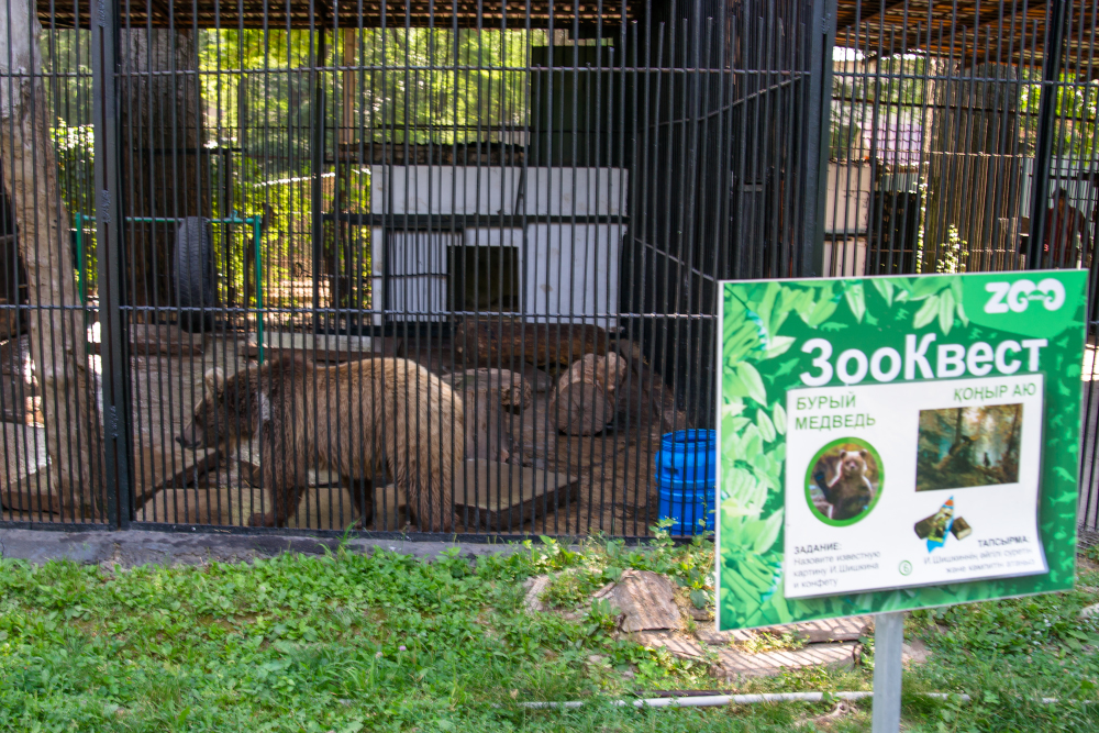 Алматинский зоопарк подал в суд на «зоозащитников»