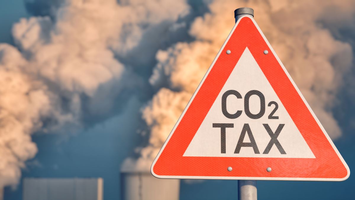 Беда не приходит одна, или «Углеродная удавка» для экономики