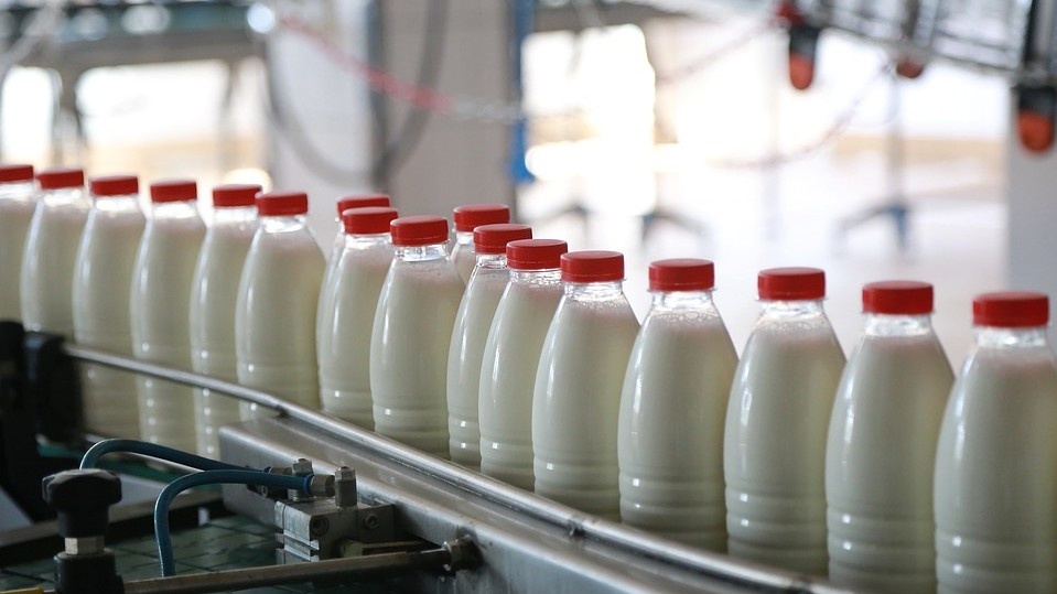 В Алматинской области построят молокозавод за 530 млн тенге 