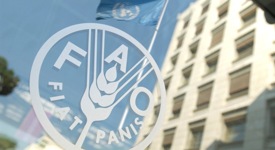 Қазақстан FAO бюросы ашылатын алтыншы мемлекет болмақ