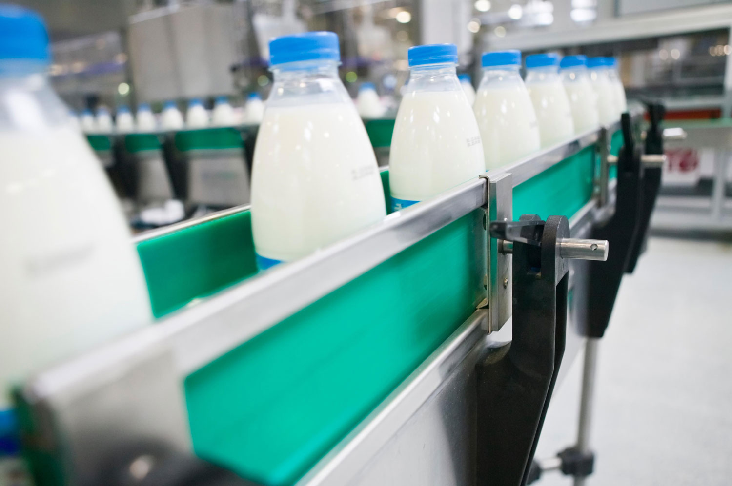 Экспортеры молока из СКО жалуются на задержки груза на границе с РФ