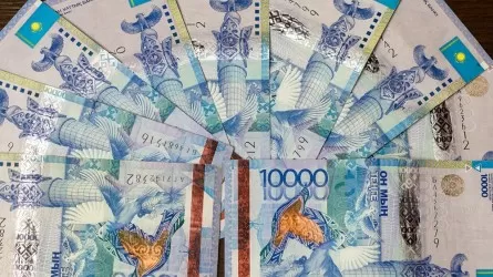 На жителя Кызылорды незаконно оформили 14 кредитов на 25 млн тенге  