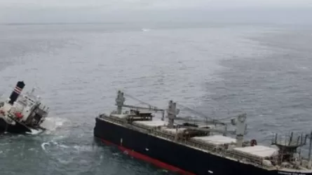 На севере Японии в районе исчезновения круизного судна нашли семь человек