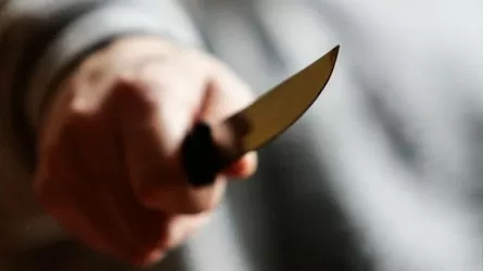 Почти 300 ножевых ударов нанес жертве житель Экибастуза