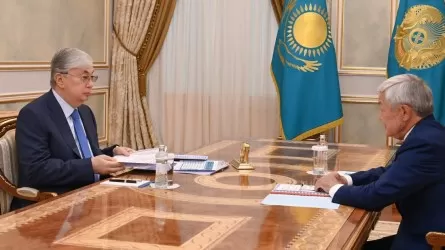 Бердибек Сапарбаев рассказал главе государства о проекте по повышению доходов семьи