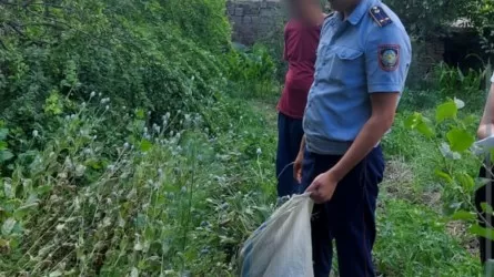 47 кг маковой соломки изъяли полицейские у жителя Туркестанской области