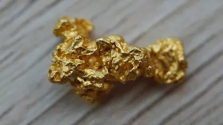"Черные" старатели добыли три мешка золотосодержащей руды на шахте в Жамбылской области 