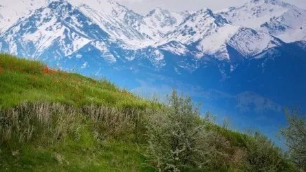 Алматинцев призвали воздержаться от походов в горы 