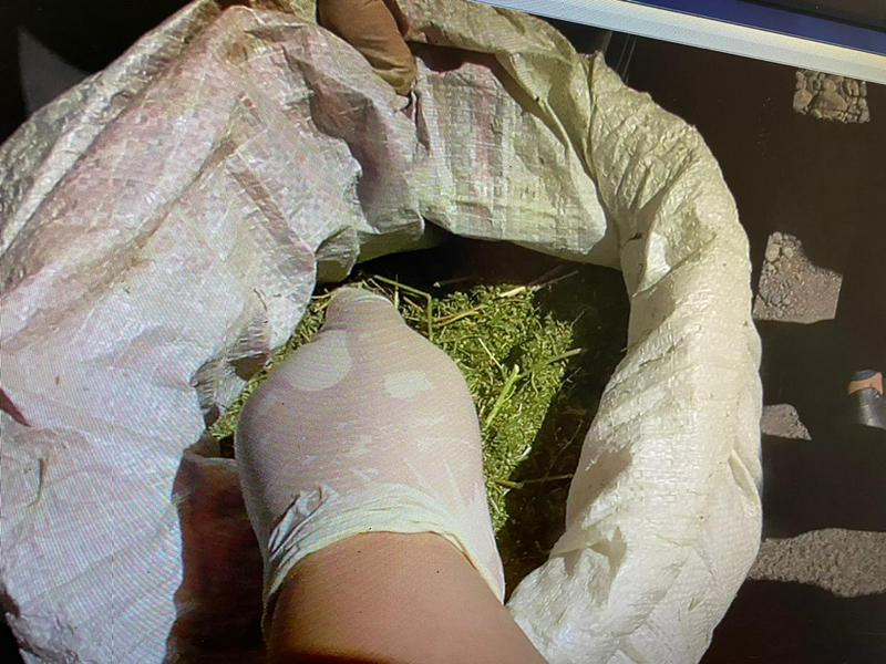 Почти 3 кг марихуаны "для себя" вез из Шу житель Туркестанской области