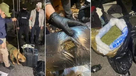 Крупную партию марихуаны изъяли полицейские в Алматы