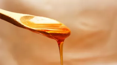 Казахстан намерен экспортировать мед в ЕС 