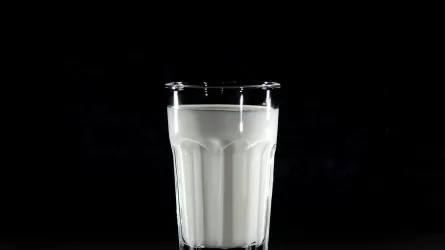 Более 32 тыс. тонн молочной продукции Кыргызстан продал в Казахстан за 8 месяцев 