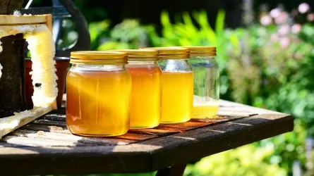Что мешает продавать казахстанский мед задорого в дальнее зарубежье?