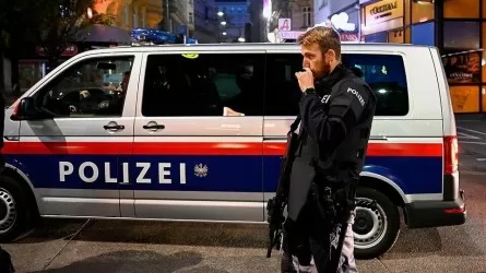 В Германии и Австрии задержаны готовившие теракты исламисты