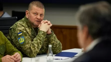 Украиналықтардың көбі бас генерал Залужныйды отставкаға жіберуге қарсы 