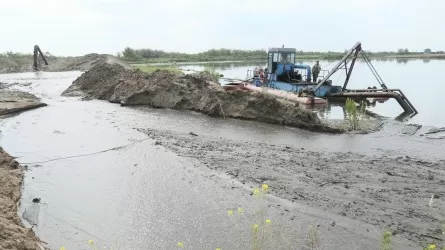 В Костанае за 500 млн тенге очистят участок реки Тобол
