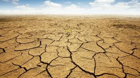 В два из каждых пяти лет более 50% суши Казахстана затрагивает засуха 