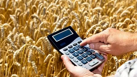 Отменить субсидирование сельского хозяйства предложили в ВКО