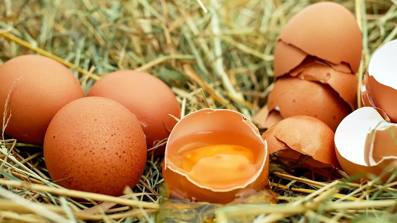 МСХ: Почему птицеводов лишают субсидии на яйцо