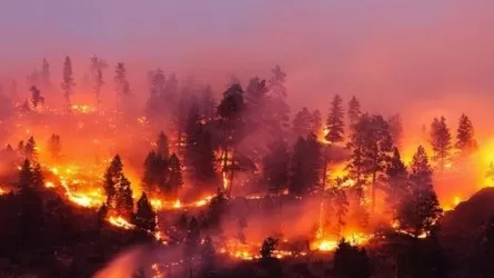 Несколько крупных пожаров тушат в эти дни в мире  