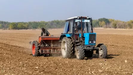 В Казахстане стало больше сельхозкооперативов