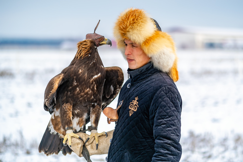 Охота с ловчими птицами начинает спортивный сезон в Казахстане