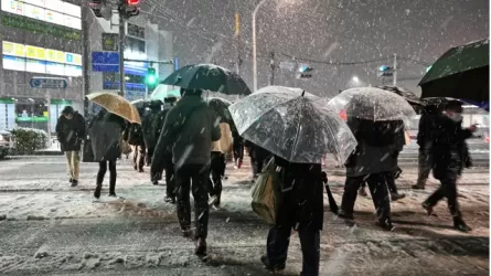 40 человек госпитализировали из-за снегопадов в Токио