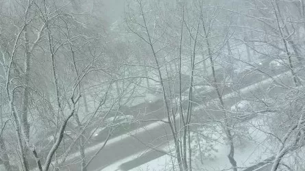 Снежный кошмар в Алматы: полиция сделала обращение к водителям
