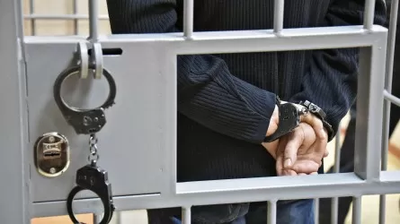Двух разыскиваемых преступников экстрадировали из Турции в Казахстан