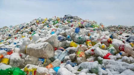 Решат ли 15 тенге проблему негабаритного мусора в Петропавловске?