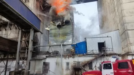 Элеватор с 20 тоннами зерна загорелся в ВКО