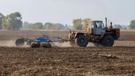Пострадали ли от паводков посевные площади в Казахстане? 