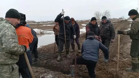 Цена просчета: в Павлодарской области пытаются защититься от "большой воды"
