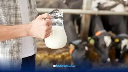 Внимание! Птичий грипп обнаружен в коровьем молоке