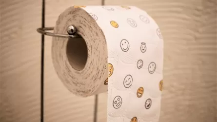 Удивительно, но факт: впервые за 5 лет в Казахстане подешевела туалетная бумага  