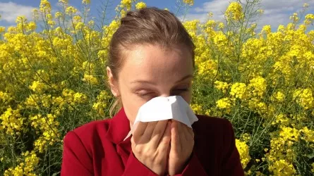Названы топ-5 регионов РК по сезонной аллергии    