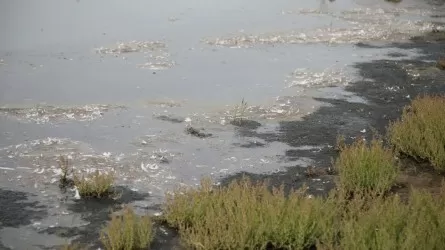 Почти 400 км автодорог республиканского значения перекрыты в РК из-за паводка 