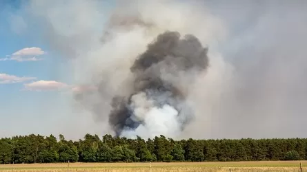 Лесные пожары гораздо раньше обычного вспыхнули в Румынии и Греции 