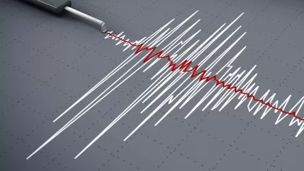Сильное землетрясение случилось в 257 км от Алматы
