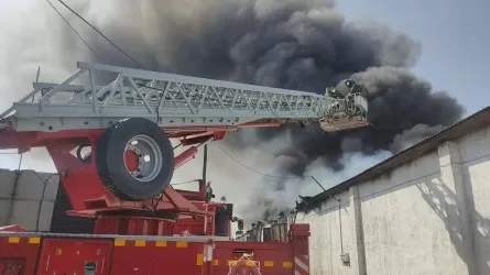 В Костанае пожарные тушат крупный пожар на складе с химическими удобрениями 