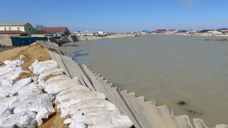 «Шеврон» Қазақстандағы су тасқынына қарсы күреске 3 миллион АҚШ долларын бөледі 