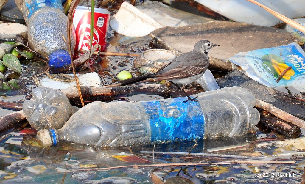 Эксперты: Переработки даже 50% мирового пластика будет недостаточно 