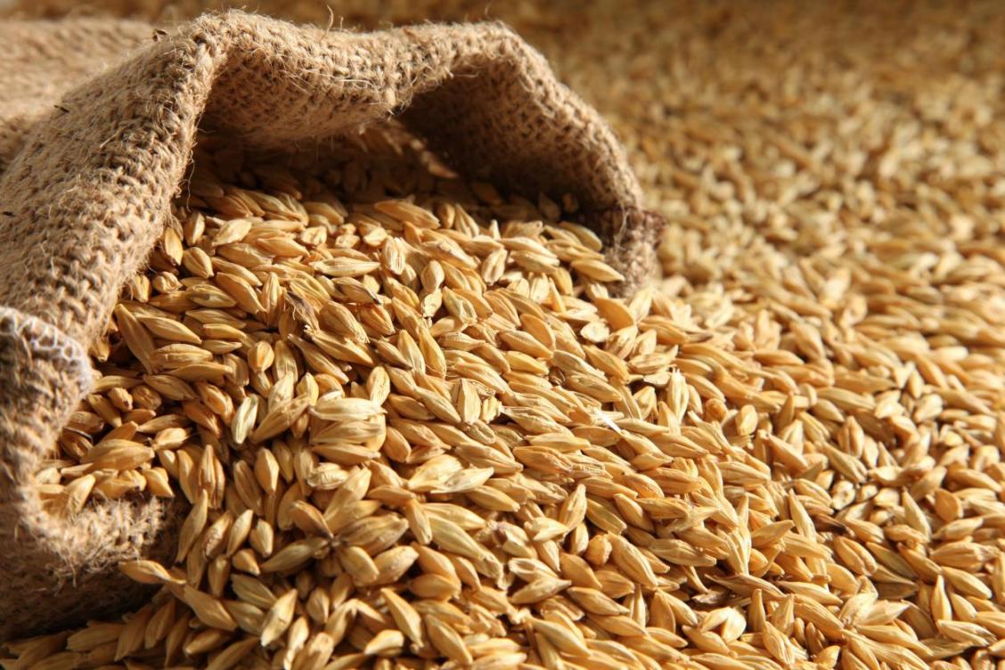 Закупочные цены на пшеницу третьего класса установила Продкорпорация 